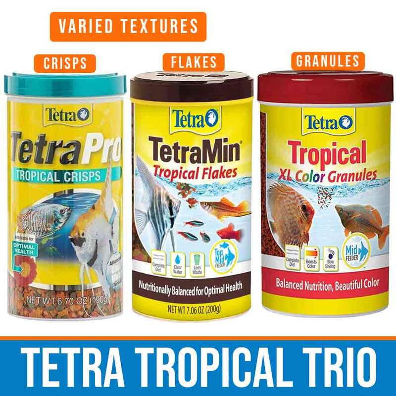 Pet Heaven, Buy Tetra Online in South Africa, Tetra TetraMin Holiday Fish  Flakes