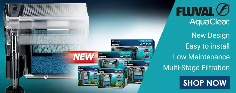 Banner Bottom Right A