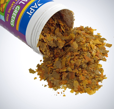FISH FOOD