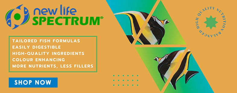 Banner Top Right 2
