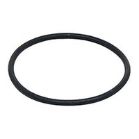 Fluval Giant Pump Motor Seal O-Ring - FX2 FX4 #A20211
