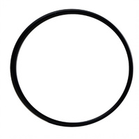 Laguna Pressure Flo UVC Head O Ring (PT1530)