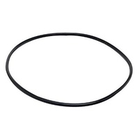 Laguna Pressure Flo UVC Lid Seal O Ring (PT1536)