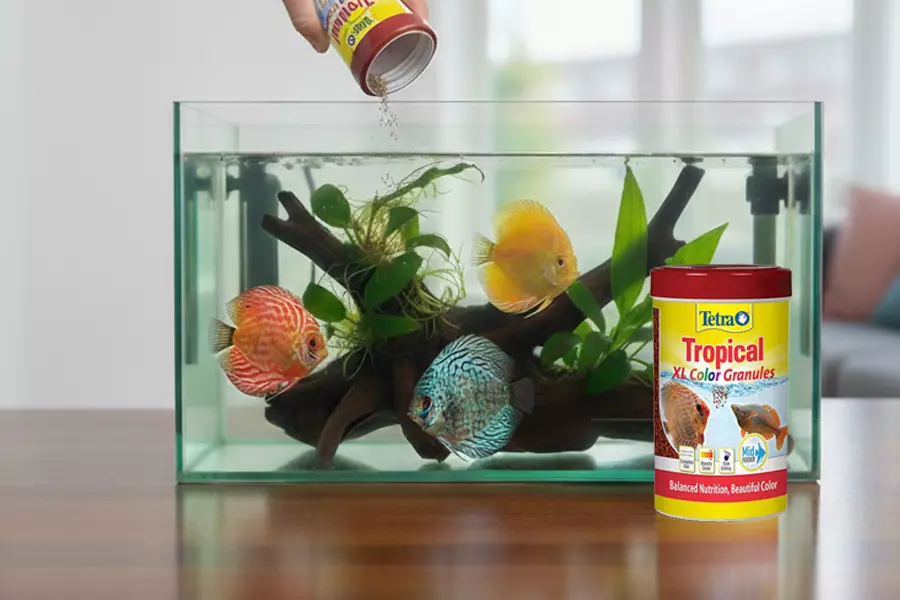 Do You Know What Fish Food is Best for Your Tropical Fish? image