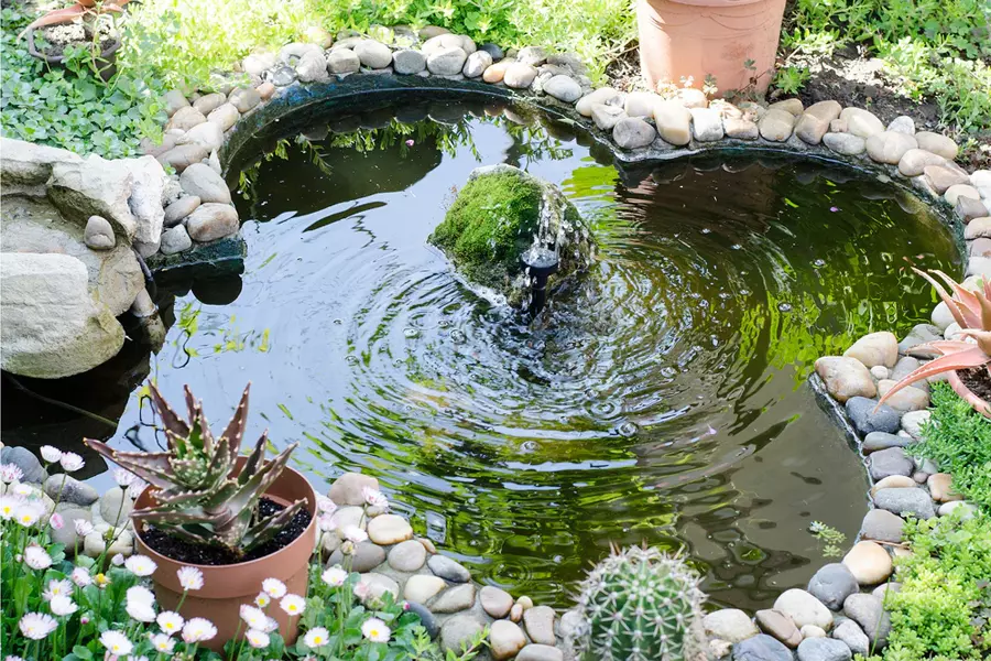 What You Need to Build a Garden Pond image