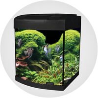 Aquarium Supplies