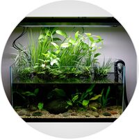 Aquarium Plant Fertilisers