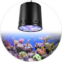 LED Aquarium Lighting