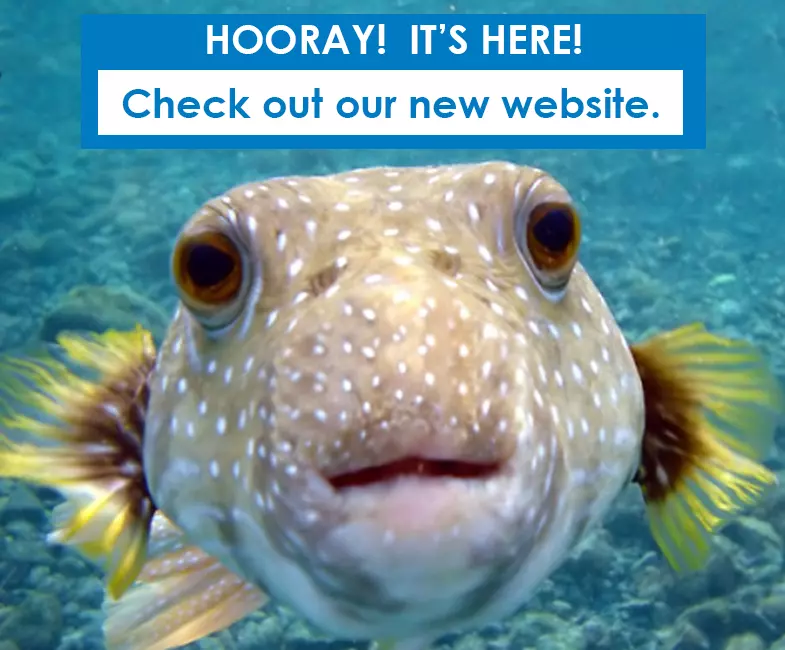 We're excited to announce the launch of our new website! image