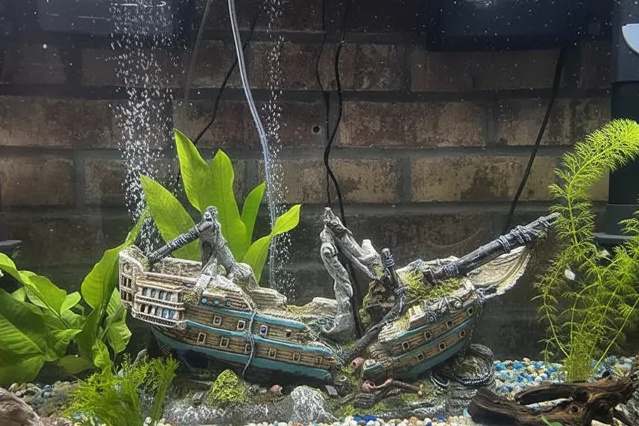 Stuck on Aquarium Decorations? Learn Everything You Need to Know From Substrates to Ornaments image