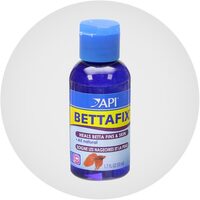 Betta Fish Medications